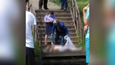 Следком начал проверку после гибели женщины у Красносельского пруда во Владимире
