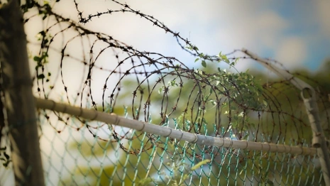 Жителя Александрова арестовали на два месяца за подрыв 5 человек 