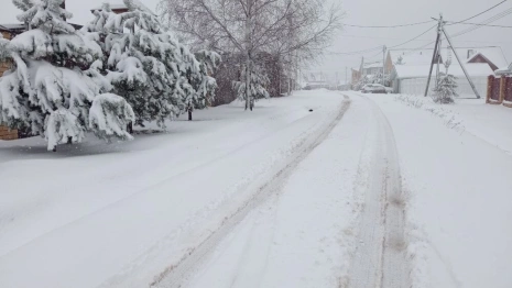 Во Владимирскую область вернулась зима