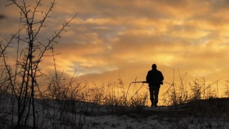 Во Владимирской области запретили охоту на кабана из-за нового очага чумы свиней