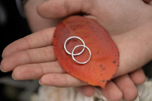 Во Владимирской области опубликовали список из 25 мест для выездной регистрации