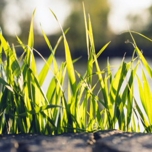 Народные приметы на 27 февраля: что можно и нельзя делать в день Кирилла Весноуказчика