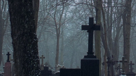 Жители владимирского поселка отстояли право жить без могил под окнами
