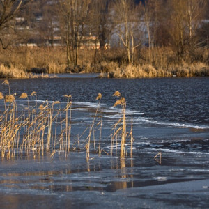 Во Владимирской области половодье начнется с середины апреля