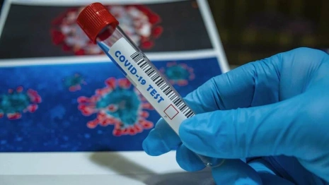 1 724 владимирца за сутки заразились коронавирусом  