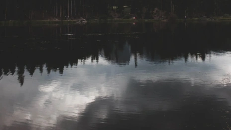 Утонувших под Александровом студентов московского вуза пытались спасти приятели