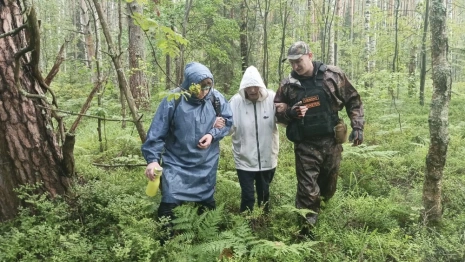 Владимирские волонтеры целые сутки искали 63-летнюю пропавшую в лесу женщину