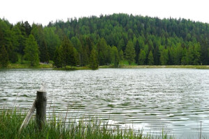 Во Владимирской области утонули еще два человека
