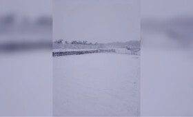 Последствия майского снегопада во Владимирской области показали на фото
