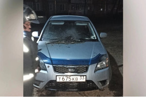 Во Владимирской области сгорела иномарка 