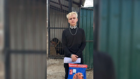 Актер и блогер попросил помощи для владимирского приюта «Валента»