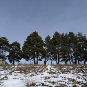 Во Владимирской области последняя рабочая неделя осени закончится «нулевой» температурой