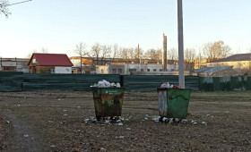Во Владимирской области запустили «горячую линию» для жалоб на вывоз мусора