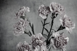 Пропавшего в ноябре 33-летнего мужчину из Владимирской области нашли мертвым