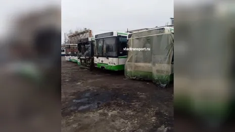 Владимирские перевозчики пожаловались на ужасный автобусный парк