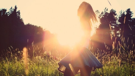 Во Владимирской области объявили желтый уровень опасности из-за аномальной жары