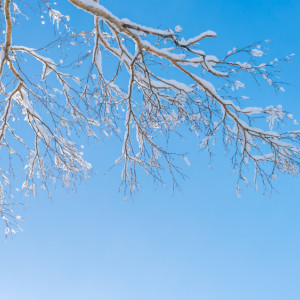 Прогноз погоды во Владимире и области на 1 декабря