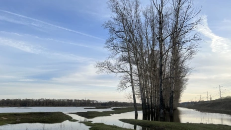 Прогноз погоды во Владимире и области на 17 марта