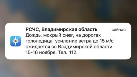 МЧС предупредило владимирцев о мокром снеге и гололедице 15 и 16 ноября