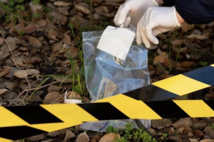 Во Владимирской области эксгумировали тело погибшей загадочным образом женщины