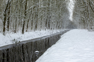 Прогноз погоды во Владимире и области на 25 января
