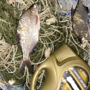 Владимирские полицейские задержали браконьера из Нижегородской области