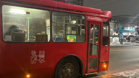 Во Владимире чиновники отреагировали на недовольство жителей работой автобусов
