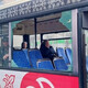 Во Владимире в автобусе с пассажирами вдребезги разбилось окно