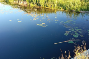 Жители Владимирской области достали из озера тело 45-летнего мужчины