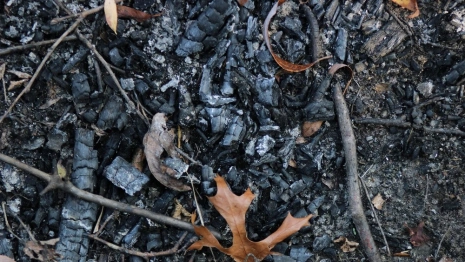 Во Владимирской области силовики сообщили о смерти 61-летнего мужчины на пожаре