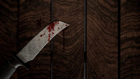 Жителя поселка под Александровом осудили за убийство в Новый год