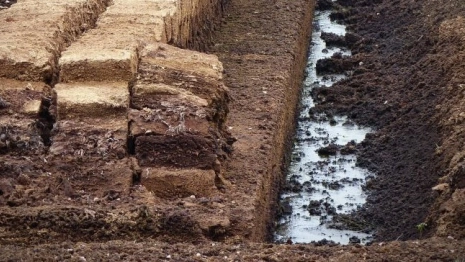 Во Владимирскую область завезли 2 тыс. тонн торфа из Беларуси