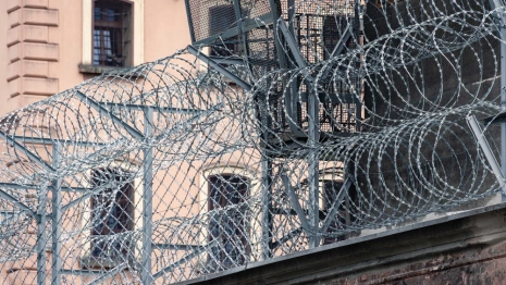 Владимирскую колонию освободят под пленных и зэков из Херсонской области?