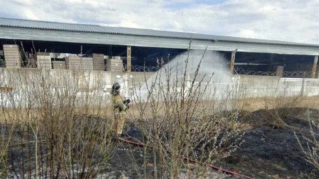 Во Владимирской области спасатели потушили 6 палов травы 