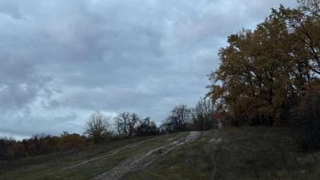 Прогноз погоды во Владимирской области на 30 октября 2025 года