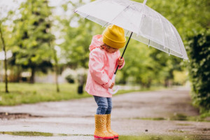 Во Владимирской области на первой рабочей неделе августа пройдут небольшие дожди