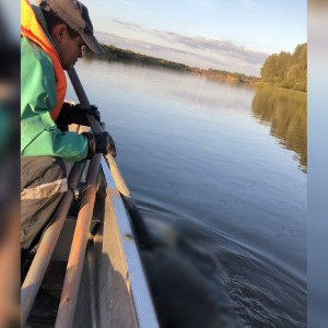 Во Владимирской области из Клязьмы достали тело утонувшего мужчины