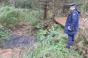 Поселок во Владимирской области из-за отсутствия центральной канализации заливали стоки