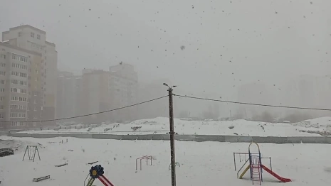 Во Владимире 8 марта повалил снег хлопьями
