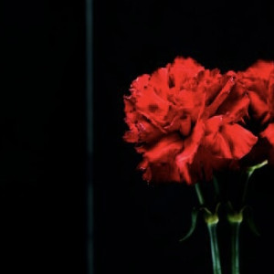 Во Владимирской области открыли две памятные доски в честь погибших бойцов СВО