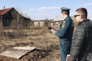 Во Владимирской области нашли заросший сухостоем участок