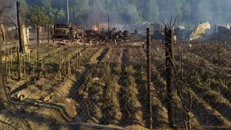 Жители владимирского поселка о страшном пожаре: «Сгорело все – от лопат до машин»