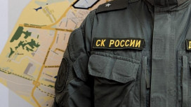 В Александрове сын зарезал собственную мать в новогодние праздники