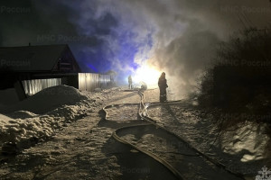 Во Владимирской области женщина вернулась в горящий дом за документами и погибла