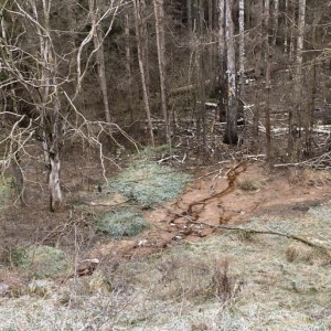 В Камешковском районе свалка загрязняла почву
