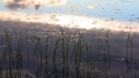 Лукерья Комарница. Что можно и нельзя делать 26 мая
