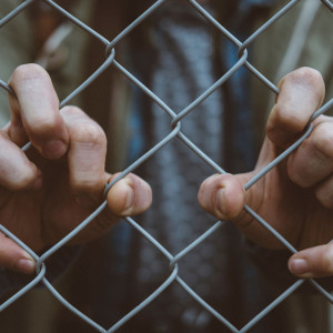 Во Владимирской области главный теневой банкир страны решил выйти по УДО