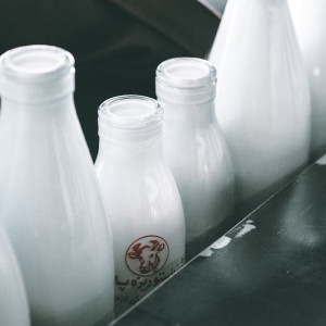 Во Владимирской области четырех жителей наградят медалями за трудовые успехи