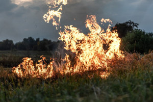 Во Владимире впервые за год спрогнозировали чрезвычайную пожарную опасность 5 класса