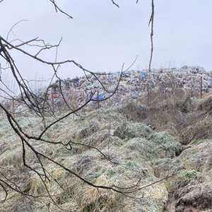 Жители Камешковского района испугались расширения Марьинского мусорного полигона